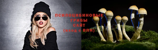 гашиш Коряжма