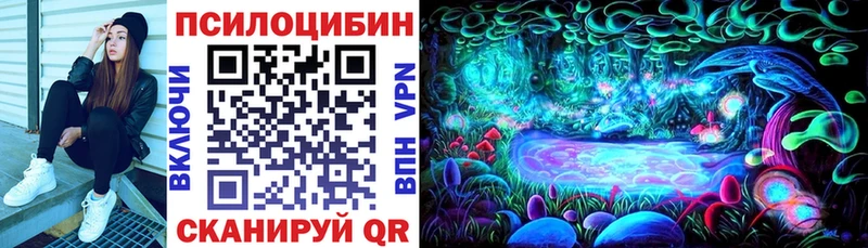 Купить где  Тында  Псилоцибиновые грибы Cubensis 