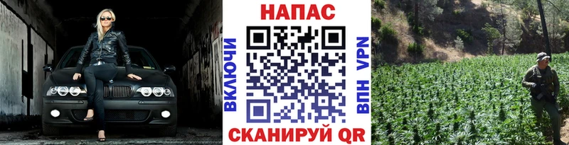 Купить где  Тында  Марихуана индика 